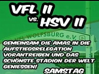 13-14 Wolfsburg II - Hamburg II (4L)